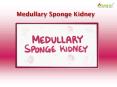 Medullary Sponge Kidney: Causes, Symptoms, Daignosis, Prevention and Treatment PowerPoint PPT Presentation