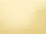 Web Designing Training (1)