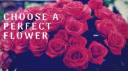 Choose A Perfect Flower For Any Celebration