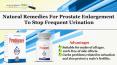 Natural Remedies for Prostate Enlargement to Stop Frequent Urination PowerPoint PPT Presentation