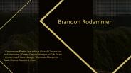 Brandon Rodammer - Experienced Professional