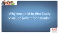 Necessity of Hiring Study Visa Consultants for Canada PowerPoint PPT Presentation