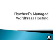 Flywheel’s Managed WordPress Hosting