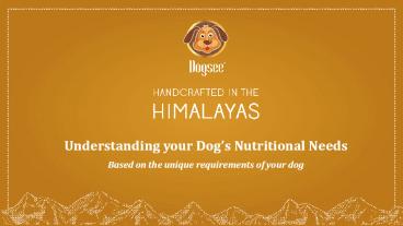 Understanding your Dog’s Nutritional Needs