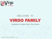 Virgo Soft Solution Services