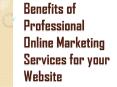 Improve your Business with Professional Online Marketing Services PowerPoint PPT Presentation