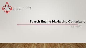 SEM Consultant - 21st Renaissance; E-commerce SEO