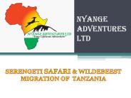 Serengeti Safari by Nyange Adventures Ltd