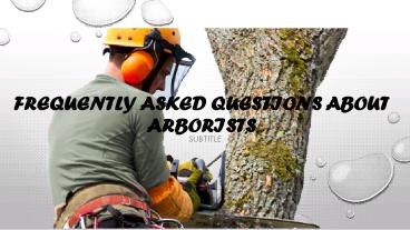 Frequently Asked Questions About Arborists