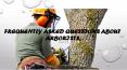 Frequently Asked Questions About Arborists PowerPoint PPT Presentation