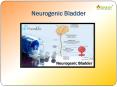 Neurogenic Bladder: Causes, Symptoms, Daignosis, Prevention and Treatment PowerPoint PPT Presentation