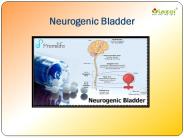 Neurogenic Bladder: Causes, Symptoms, Daignosis, Prevention and Treatment