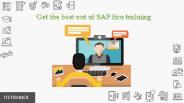 sap fico training (1)