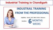 Industrial Training in Chandigarh (12)