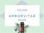 Arborvitae Oil