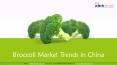 Broccoli Market Trends in China - Aarkstore PowerPoint PPT Presentation