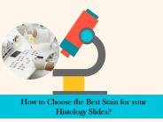 Histopathology Laboratory