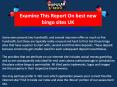 Examine This Report On best new bingo sites UK PowerPoint PPT Presentation