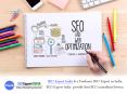 Hire Devoted SEO Experts for Best SEO Services PowerPoint PPT Presentation