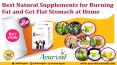 Best Natural Supplements for Burning Fat and Get Flat Stomach at Home PowerPoint PPT Presentation