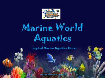 Marine World Aquatics PPT