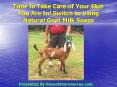 Time to Take Care of Your Skin You Are In! Switch to Using Natural Goat Milk Soaps PowerPoint PPT Presentation