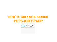 How To Manage Senior Pet’s Joint Pain?