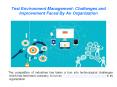 Test Environment Management: Challenges and Improvement Faced By An Organization PowerPoint PPT Presentation