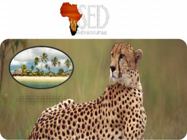 Diving Tanzania Mafia Island