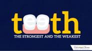 Teeth: The Strongest And The Weakest