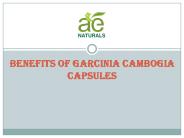 Garcinia Cambogia Capsule Manufacturers