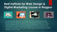 Web Designing Development SEO Company Nagpur