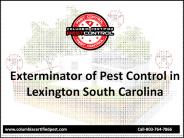 Best Exterminator of Pest Control in Lexington SC