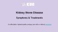 Kidney Stone Disease: Causes, Symptoms & Treatments PowerPoint PPT Presentation