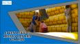 Advantages of Bouncy Castles for Kids PowerPoint PPT Presentation