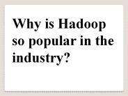 Why is Hadoop so popular in the industry?