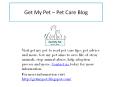 Pet care, Pet advice, Share pet stories online PowerPoint PPT Presentation