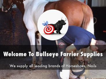 Detail Presentation About Bullseye Farrier Supplies