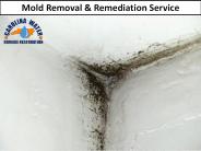 Mold Removal & Remediation Service in Durham NC (1)