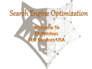 SEO Service USA | Internet Marketing | DigiWolves (1)