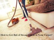 How do you get rid of a smelly carpet?