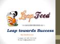 Shopping Data Feed Management Services PowerPoint PPT Presentation