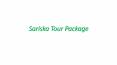 Sariska Tour PowerPoint PPT Presentation