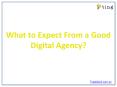 What to Expect From a Good Digital Agency? PowerPoint PPT Presentation