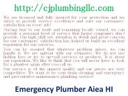 kitchen plumber Aiea HI