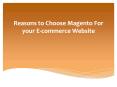 Reasons to Choose Magento For Your E-commerce Website PowerPoint PPT Presentation