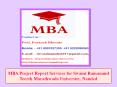 MBA Project Report Services for Swami Ramanand Teerth Marathwada University, Nanded PowerPoint PPT Presentation
