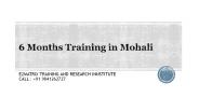 6 Months Training in Mohali