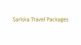 Sariska Travel Packages
