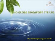 Bio Globe Singapore Pte Ltd